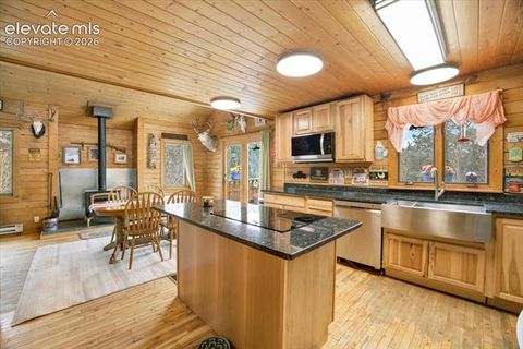 Tiny photo for 715 W Bison Creek Trail, Florissant, CO 80816 (MLS # 1698795)