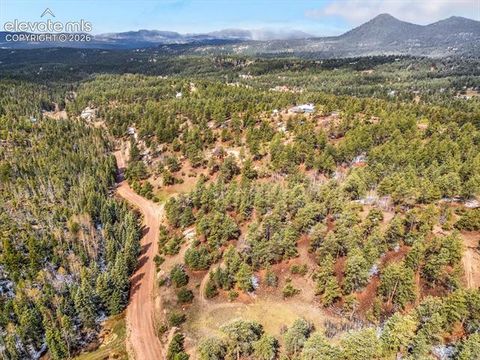 Tiny photo for 715 W Bison Creek Trail, Florissant, CO 80816 (MLS # 1698795)