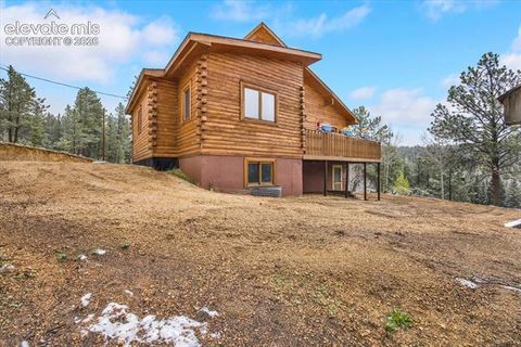 Tiny photo for 715 W Bison Creek Trail, Florissant, CO 80816 (MLS # 1698795)