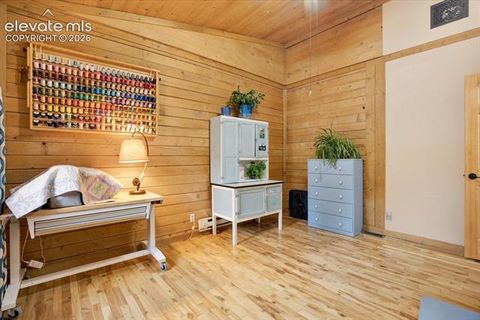 Tiny photo for 715 W Bison Creek Trail, Florissant, CO 80816 (MLS # 1698795)