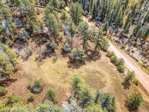 Tiny photo for 715 W Bison Creek Trail, Florissant, CO 80816 (MLS # 1698795)