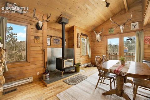 Tiny photo for 715 W Bison Creek Trail, Florissant, CO 80816 (MLS # 1698795)