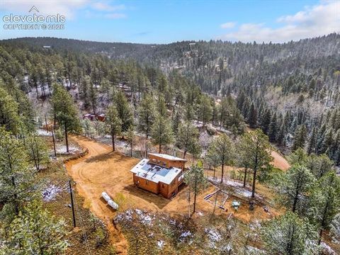 Tiny photo for 715 W Bison Creek Trail, Florissant, CO 80816 (MLS # 1698795)