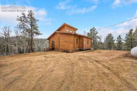 Photo of 715 W Bison Creek Trail, Florissant, CO 80816 (MLS # 1698795)