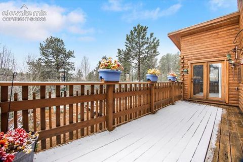 Tiny photo for 715 W Bison Creek Trail, Florissant, CO 80816 (MLS # 1698795)