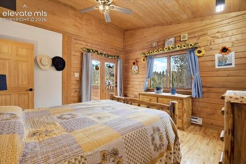 Tiny photo for 715 W Bison Creek Trail, Florissant, CO 80816 (MLS # 1698795)
