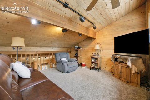 Tiny photo for 715 W Bison Creek Trail, Florissant, CO 80816 (MLS # 1698795)