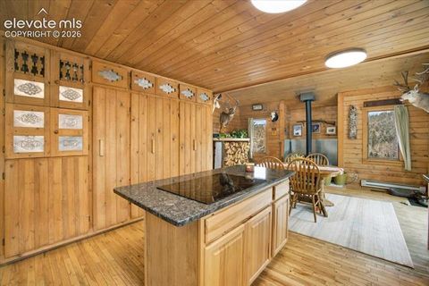 Tiny photo for 715 W Bison Creek Trail, Florissant, CO 80816 (MLS # 1698795)