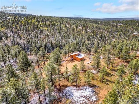 Tiny photo for 715 W Bison Creek Trail, Florissant, CO 80816 (MLS # 1698795)