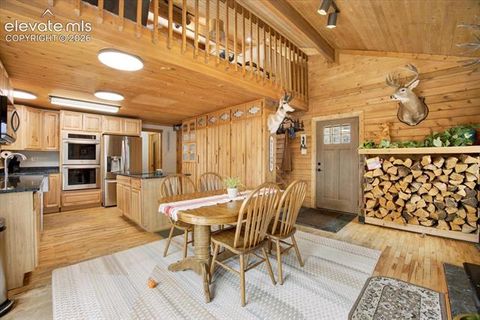 Tiny photo for 715 W Bison Creek Trail, Florissant, CO 80816 (MLS # 1698795)