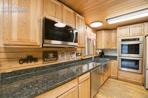 Tiny photo for 715 W Bison Creek Trail, Florissant, CO 80816 (MLS # 1698795)