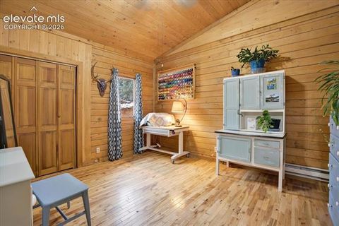 Tiny photo for 715 W Bison Creek Trail, Florissant, CO 80816 (MLS # 1698795)