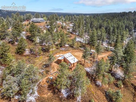 Tiny photo for 715 W Bison Creek Trail, Florissant, CO 80816 (MLS # 1698795)