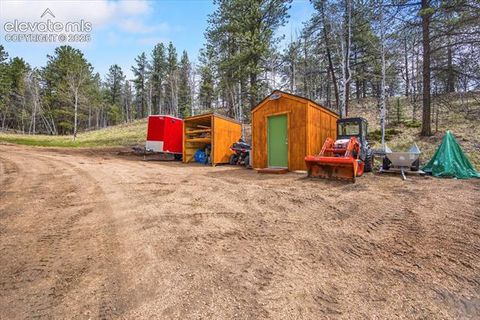 Tiny photo for 715 W Bison Creek Trail, Florissant, CO 80816 (MLS # 1698795)
