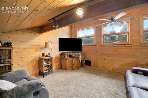 Tiny photo for 715 W Bison Creek Trail, Florissant, CO 80816 (MLS # 1698795)