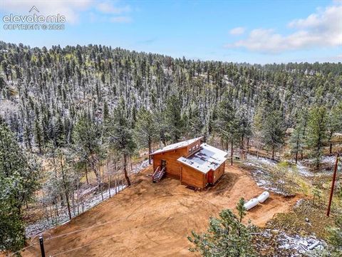 Tiny photo for 715 W Bison Creek Trail, Florissant, CO 80816 (MLS # 1698795)