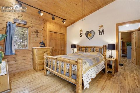 Tiny photo for 715 W Bison Creek Trail, Florissant, CO 80816 (MLS # 1698795)