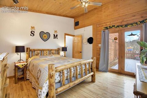 Tiny photo for 715 W Bison Creek Trail, Florissant, CO 80816 (MLS # 1698795)