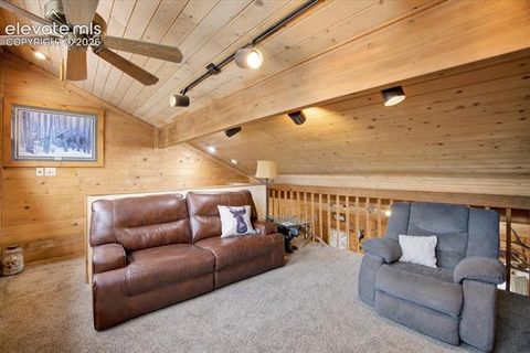 Tiny photo for 715 W Bison Creek Trail, Florissant, CO 80816 (MLS # 1698795)
