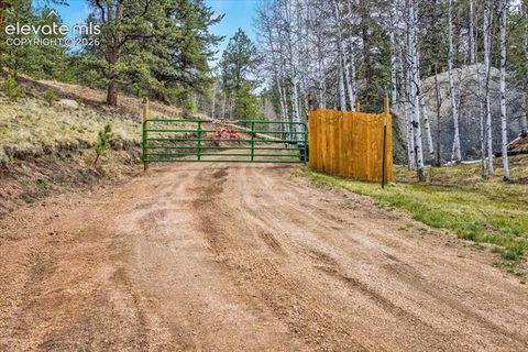 Tiny photo for 715 W Bison Creek Trail, Florissant, CO 80816 (MLS # 1698795)