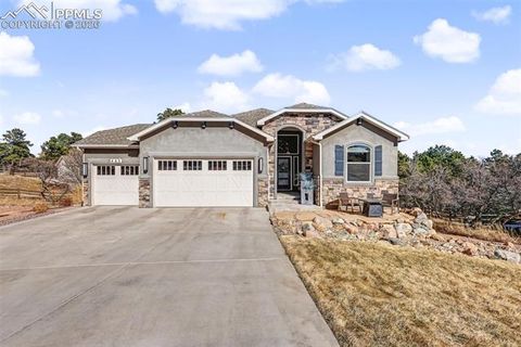 Tiny photo for 463 Mountain Pass View, Colorado Springs, CO 80906 (MLS # 1193124)