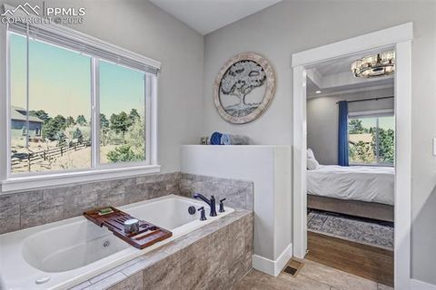 Tiny photo for 463 Mountain Pass View, Colorado Springs, CO 80906 (MLS # 1193124)