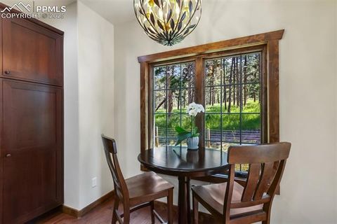 Tiny photo for 1141 Royal Oak Court, Woodland Park, CO 80863 (MLS # 2438558)