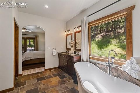Tiny photo for 1141 Royal Oak Court, Woodland Park, CO 80863 (MLS # 2438558)