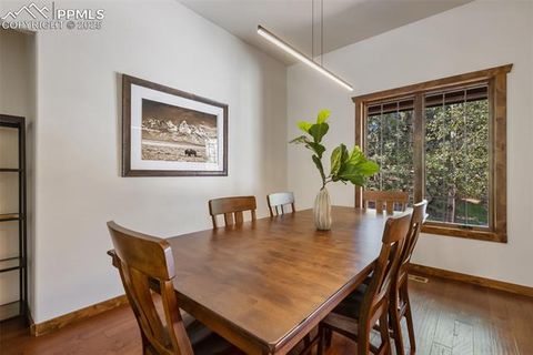 Tiny photo for 1141 Royal Oak Court, Woodland Park, CO 80863 (MLS # 2438558)