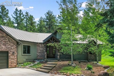 Tiny photo for 1141 Royal Oak Court, Woodland Park, CO 80863 (MLS # 2438558)