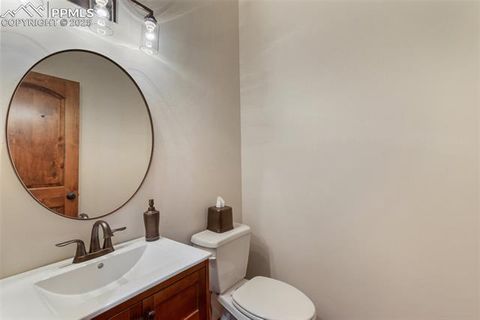 Tiny photo for 1141 Royal Oak Court, Woodland Park, CO 80863 (MLS # 2438558)