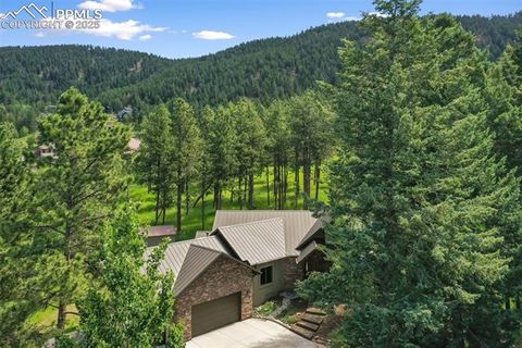 Tiny photo for 1141 Royal Oak Court, Woodland Park, CO 80863 (MLS # 2438558)