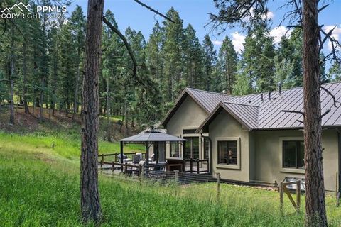 Tiny photo for 1141 Royal Oak Court, Woodland Park, CO 80863 (MLS # 2438558)