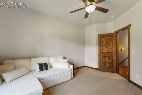 Tiny photo for 1141 Royal Oak Court, Woodland Park, CO 80863 (MLS # 2438558)