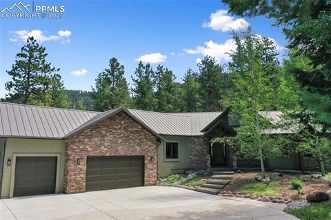 Tiny photo for 1141 Royal Oak Court, Woodland Park, CO 80863 (MLS # 2438558)