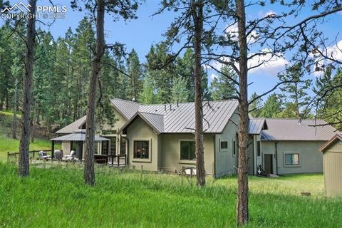 Tiny photo for 1141 Royal Oak Court, Woodland Park, CO 80863 (MLS # 2438558)