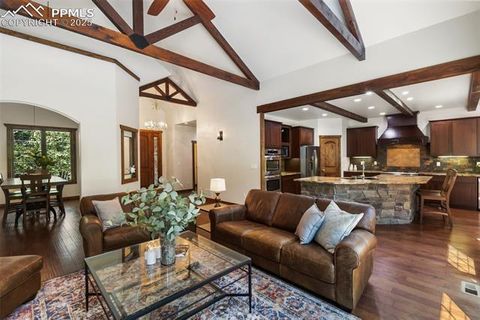 Tiny photo for 1141 Royal Oak Court, Woodland Park, CO 80863 (MLS # 2438558)