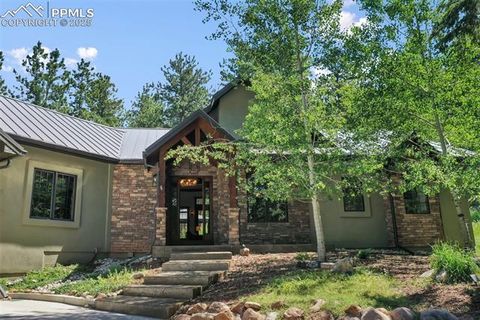 Tiny photo for 1141 Royal Oak Court, Woodland Park, CO 80863 (MLS # 2438558)
