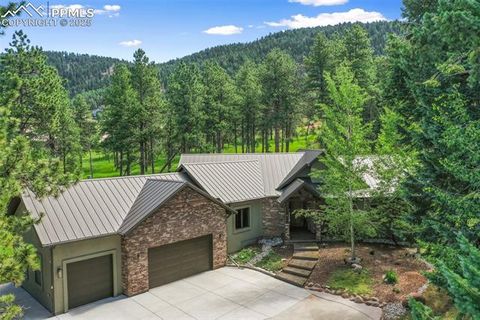 Photo of 1141 Royal Oak Court, Woodland Park, CO 80863 (MLS # 2438558)