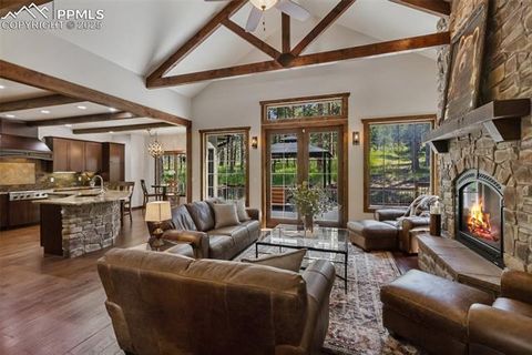 Tiny photo for 1141 Royal Oak Court, Woodland Park, CO 80863 (MLS # 2438558)