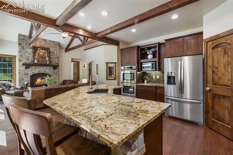 Tiny photo for 1141 Royal Oak Court, Woodland Park, CO 80863 (MLS # 2438558)