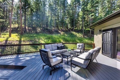 Tiny photo for 1141 Royal Oak Court, Woodland Park, CO 80863 (MLS # 2438558)