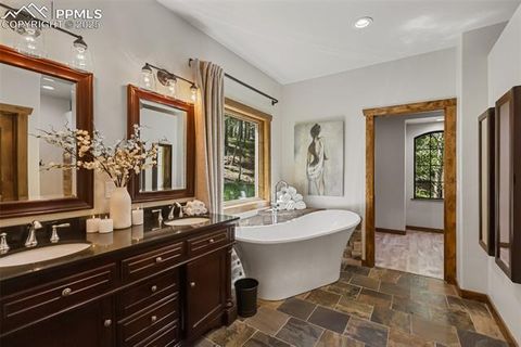 Tiny photo for 1141 Royal Oak Court, Woodland Park, CO 80863 (MLS # 2438558)