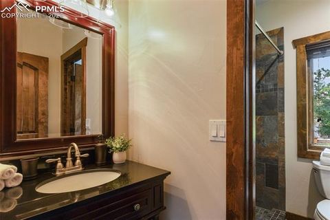 Tiny photo for 1141 Royal Oak Court, Woodland Park, CO 80863 (MLS # 2438558)