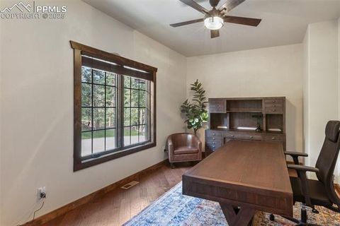 Tiny photo for 1141 Royal Oak Court, Woodland Park, CO 80863 (MLS # 2438558)