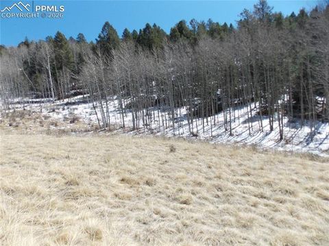 Photo of 388 Grey Eagle Drive, Cripple Creek, CO 80813 (MLS # 1883077)