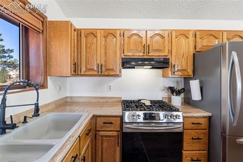 Tiny photo for 678 S Louviers Drive, Pueblo West, CO 81007 (MLS # 4151729)