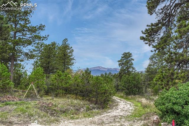 Properties For Sale Listings 10625 Milam Road