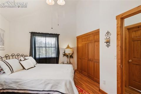 Tiny photo for 130 Paint Pony Lane, Florissant, CO 80816 (MLS # 5818975)