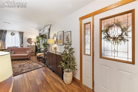 Tiny photo for 130 Paint Pony Lane, Florissant, CO 80816 (MLS # 5818975)